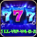 1ee VIP v4.9.2