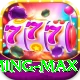 Pak Basant - Gaming Max